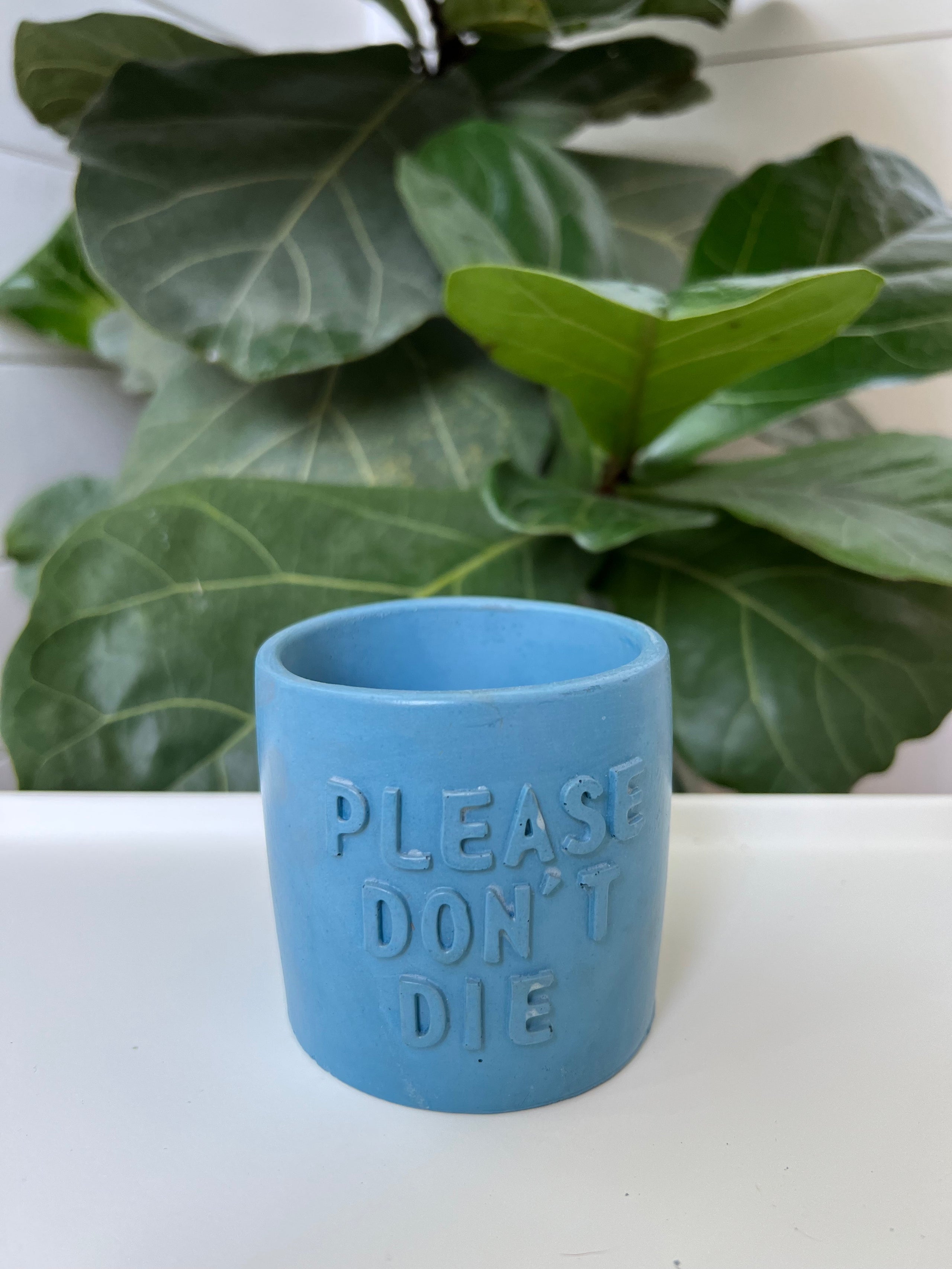 Please don't die planter pot